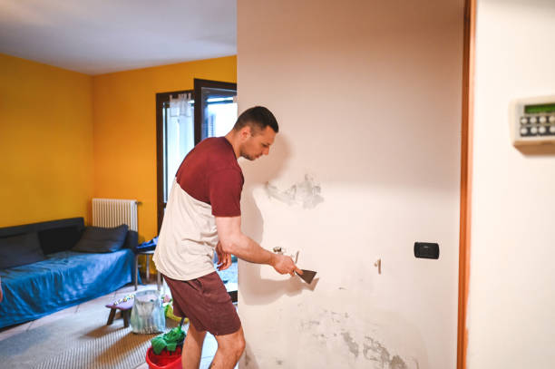 Best Residential Mold Remediation in Duvall, WA